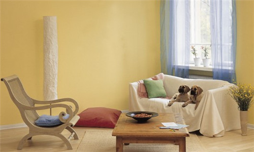 1564125629865848.jpg 1564125629865848.jpg